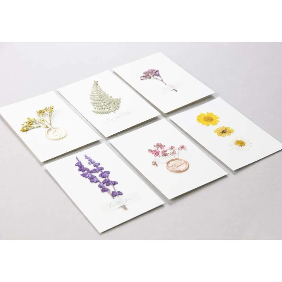 CLAIREFONTAINE - Pochette de 12 fleurs pressées séchées, assortiment jaune, 13x20,5cm