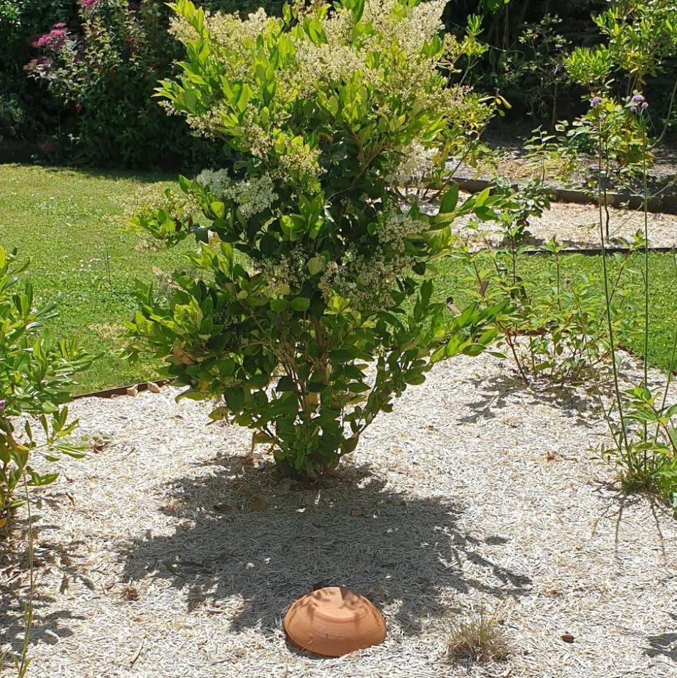 Céramique d'irrigation Ollas Jamet Mini-Serre - 0.8L