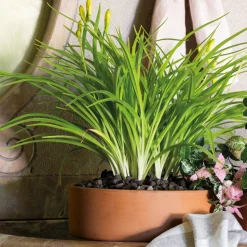 DEROMA - Coupe Modul'O Cotto ronde en terre cuite - D.24xH.7,7cm