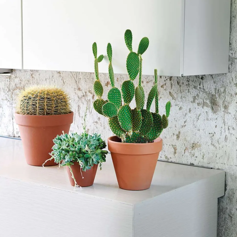 DEROMA - Pot Horticole en terre cuite Ø 25,1 x H. 21,7cm