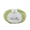 DMC - Pelote Woolly en laine mérinos coloris vert 890 - 50 g