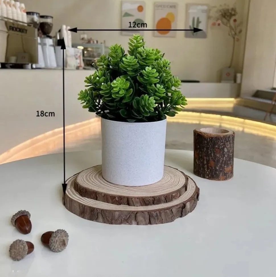 DOWNYPAWS - Simulation de plantes vertes en pot simulation de souchet