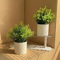 DOWNYPAWS - Simulation de plantes vertes en pot simulation de souchet