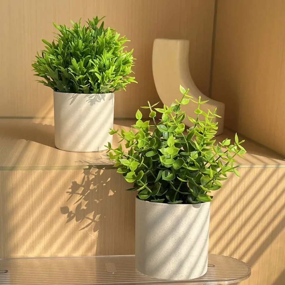 DOWNYPAWS - Simulation de plantes vertes en pot simulation de souchet