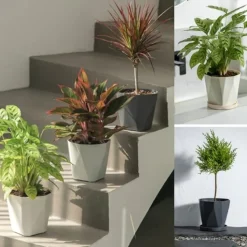 DTOPBUYAGE - Lot 3 pots fleurs plastique 13cm