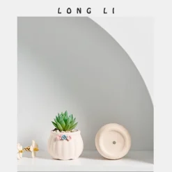 DTOPBUYAGE - Pot de fleurs succulentes en céramique