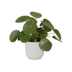 ELHO - Cache Pot Vibes Fold Rond Ø22cm Blanc
