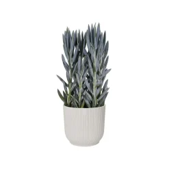 ELHO - Cache Pot Vibes Fold Rond Ø22cm Blanc