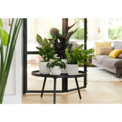 ELHO - Cache Pot Vibes Fold Rond Ø22cm Blanc