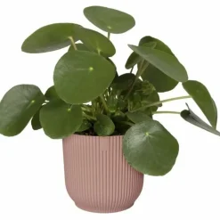 ELHO - Pot de fleurs rond vibes - plastique - ø 25 - rose poudré