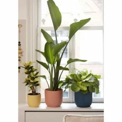 ELHO - Pot de fleurs rond vibes - plastique - ø 25 - rose poudré