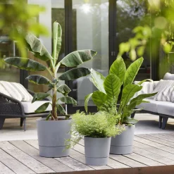 ELHO - Pot Greensense Aqua Care rond ciment à resevoir d'eau - D.30cm