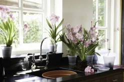 ELHO - Pot pour orchidée Green Basics en plastique transparent - D.15 cm