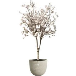 ELHO - Pot Sereh rond, coloris beige champignon - D.47xH.40,1cm