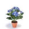 EMERALD - Hydrangea x7, dans pot terra cotta bleu foncé