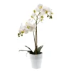 EMERALD - Pot de Phalaenopsis artificiel, blanc 65cm