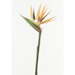 EMERALD - Tige oiseau du paradis, orange H. 70 cm