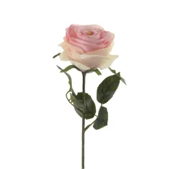 EMERALD - Tige rose simone, rose clair H. 45 cm