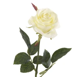 EMERALD - Tige rose simone, blanc H. 73 cm