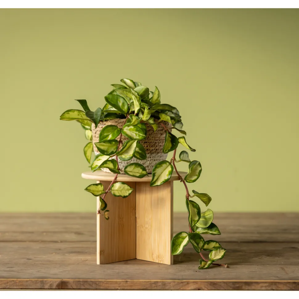 ESSCHERT DESIGN - Porte-plantes en bambou D.25 H.19,5cm