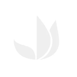 EXOTIC FOOD - Huile pour wok - exotic food