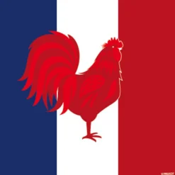 FRANCOISE PAVIOT - Serviettes x20, intissé 25x25 cm -France