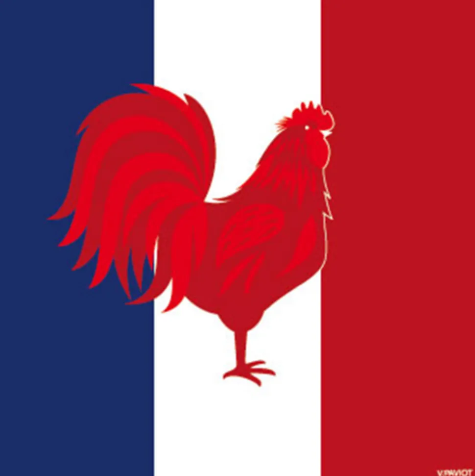 FRANCOISE PAVIOT - Serviettes x20, intissé 25x25 cm -France