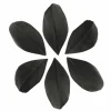 GRAINE CRÉATIVE - 100 plumes coupées - noir 6 cm