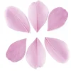 GRAINE CRÉATIVE - 100 plumes coupées - rose pâle 6 cm
