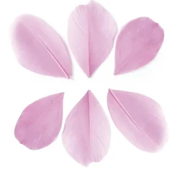 GRAINE CRÉATIVE - 100 plumes coupées - rose pâle 6 cm