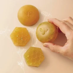 GRAINE CRÉATIVE - Coffret diy faire ses savons au miel