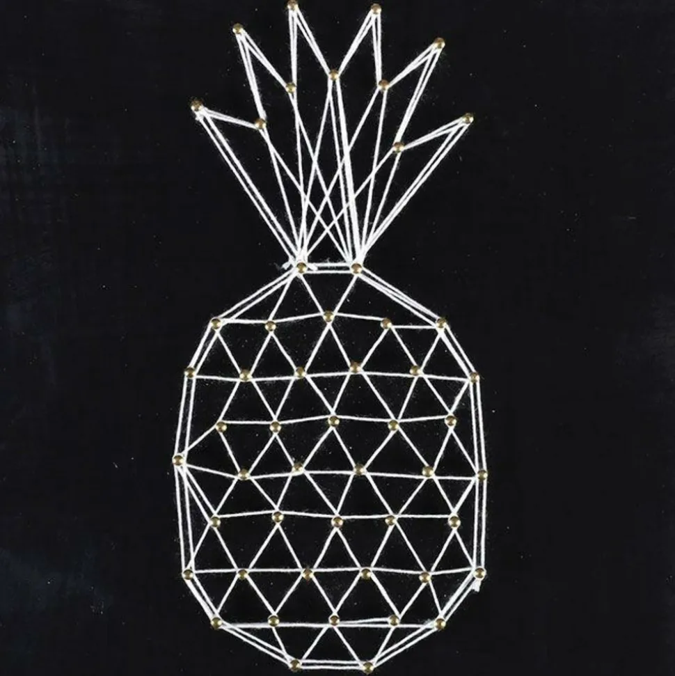 GRAINE CRÉATIVE - Coffret string art - tableau noir ananas art filaire 22 x 22 cm