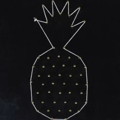 GRAINE CRÉATIVE - Coffret string art - tableau noir ananas art filaire 22 x 22 cm