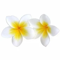 GRAINE CRÉATIVE - Parfum pour savon 243 ml - monoï