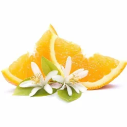 GRAINE CRÉATIVE - Parfum pour savon 54 ml - fleur d'oranger