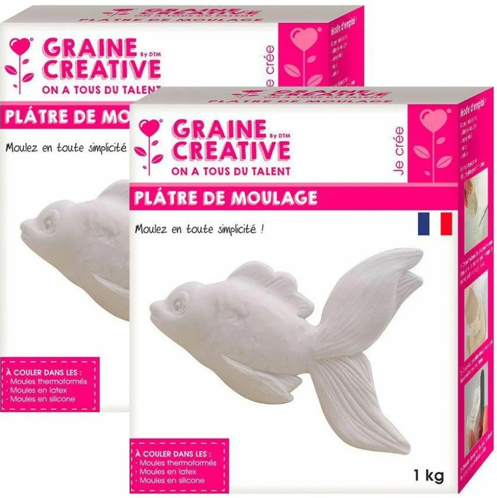 GRAINE CRÉATIVE - Plâtre de moulage 2 kg