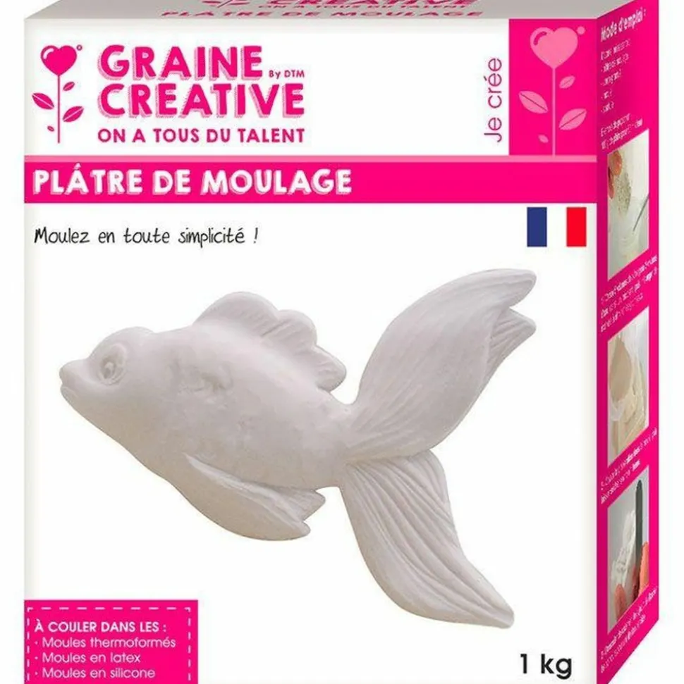 GRAINE CRÉATIVE - Plâtre de moulage 2 kg