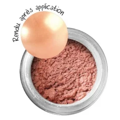 GRAINE CRÉATIVE - Poudre effet métallique pour pâte polymère - saumon