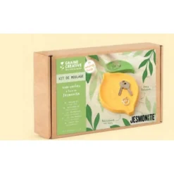 GRAINE CREATIVE - Kit jesmonite vide poches citron
