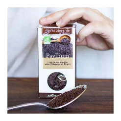 HILDEGARDE DE BINGEN - Psyllium bio 300 g