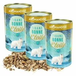 HILDEGARDE DE BINGEN - Tisane bonne étoile 300 g