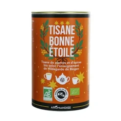HILDEGARDE DE BINGEN - Tisane bonne étoile