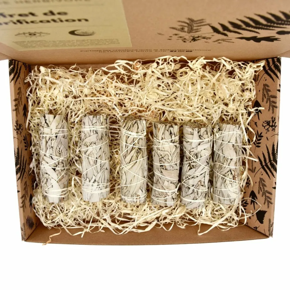 LA BOUGIE HERBIVORE - Lot de 6 Bâtons de Sauge Blanche – Rituel de Purification Naturelle