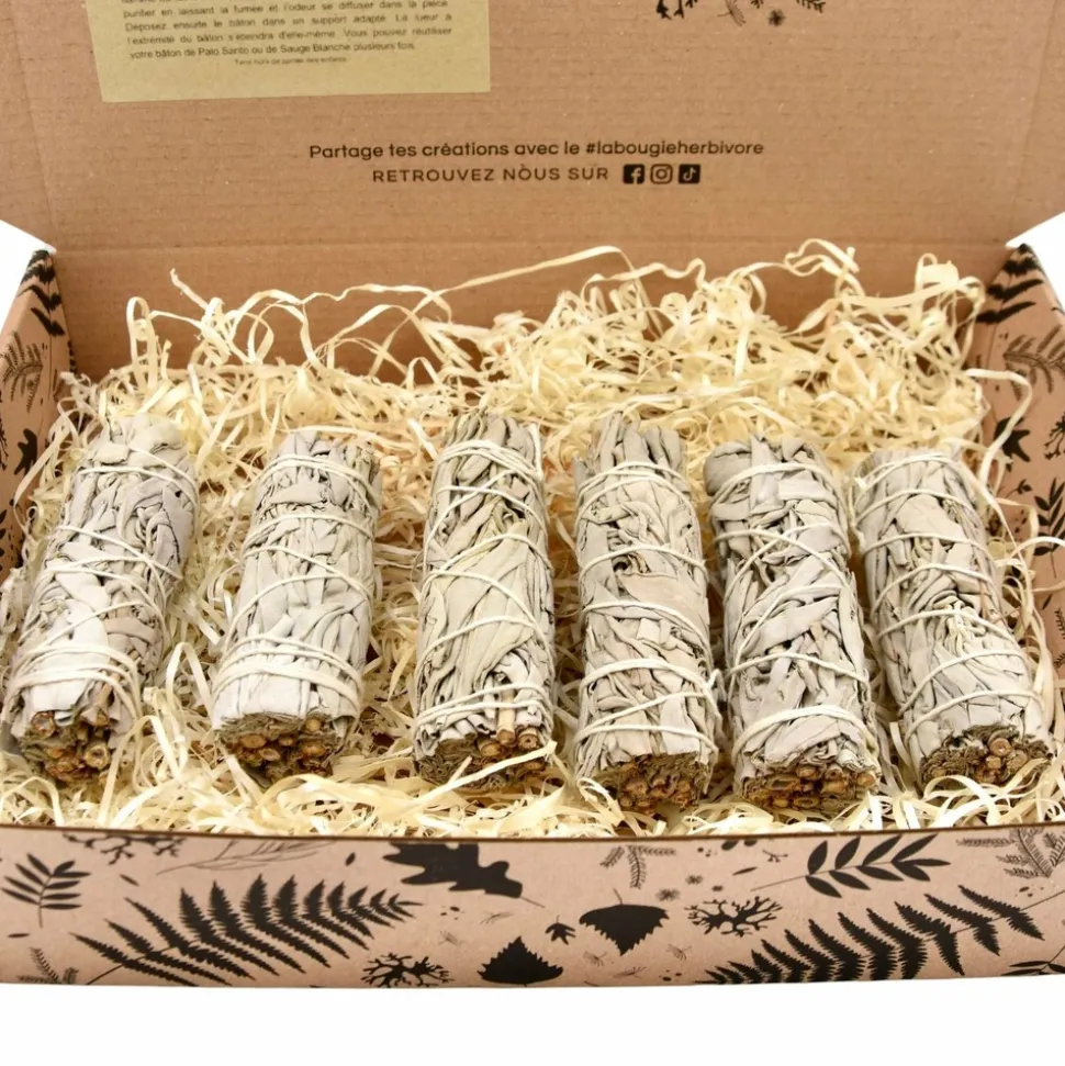 LA BOUGIE HERBIVORE - Lot de 6 Bâtons de Sauge Blanche – Rituel de Purification Naturelle
