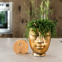 LA GREEN TOUCH - Boîte à mélodies naturelles melodiez