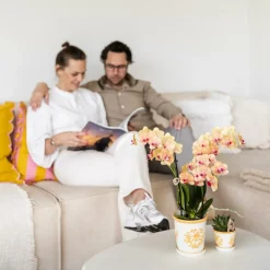 LA GREEN TOUCH - Cache-pot malaga orange