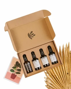 LA GREEN TOUCH - Coffret huiles plantes d'intérieur