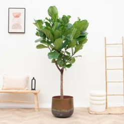 LA GREEN TOUCH - Elisa bronze mystique 39 cm