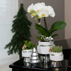 LA GREEN TOUCH - Le chic - pot décoratif en céramique blanche