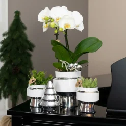 LA GREEN TOUCH - Le chic - pot décoratif en céramique blanche